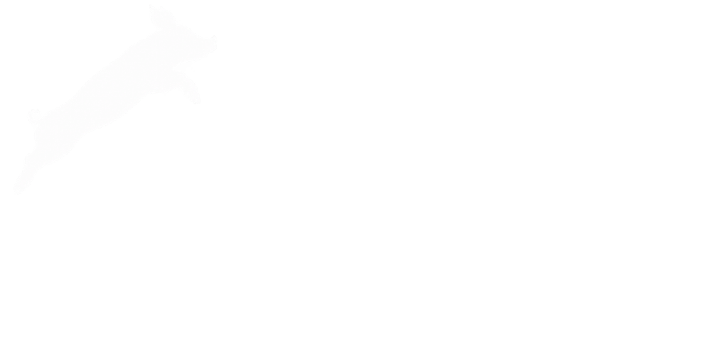 CSA Hof Pente – Solidarische Landwirtschaft, zur Startseite