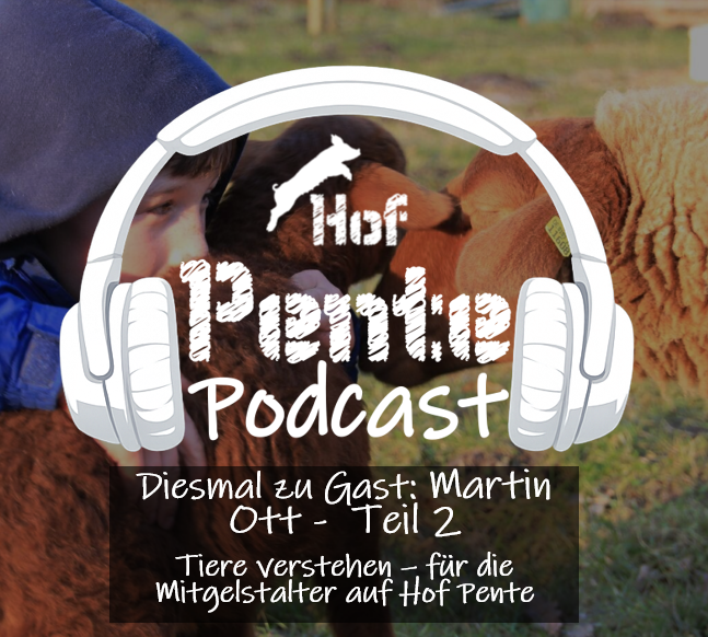 zu Gast Martin Ott - Teil 2